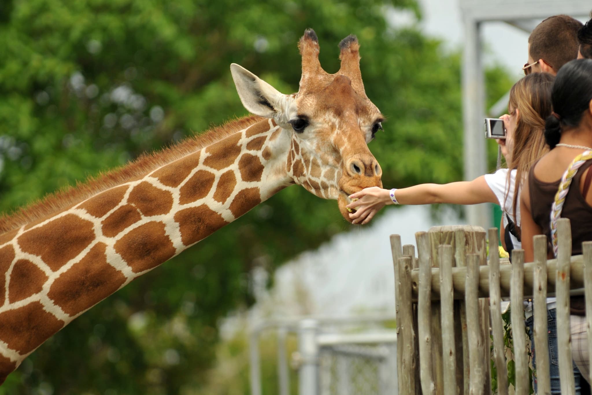 Zoologické a botanické záhrady